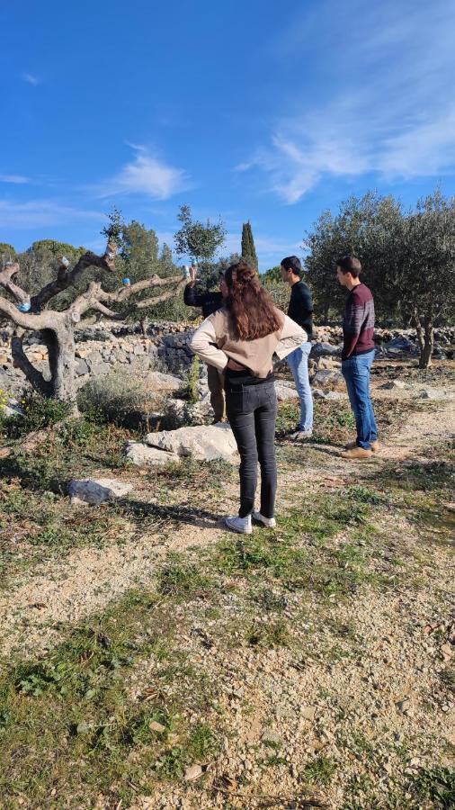 Can Barraca Avinyonet de Puigventós المظهر الخارجي الصورة